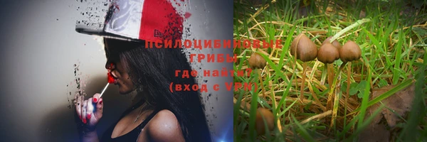 бошки Армянск