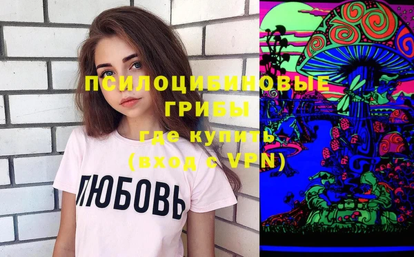 бошки Армянск