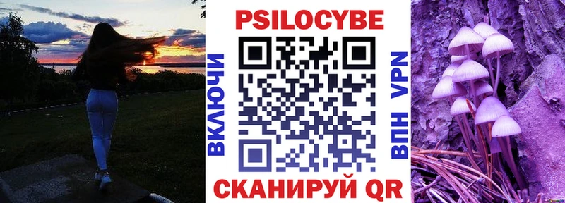 купить закладку  Зубцов  mega ONION  Псилоцибиновые грибы GOLDEN TEACHER 