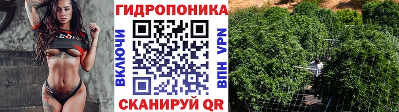 Конопля ГИДРОПОН  цены   Зубцов 